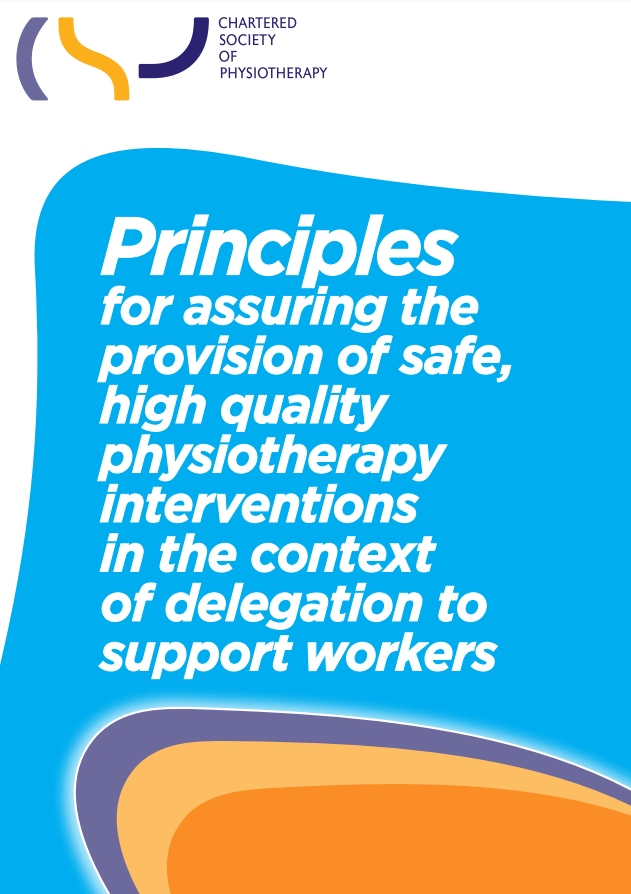 Principles for assuring the provision of safe, high quality physiotherapy interventions in the context of delegation to support workers